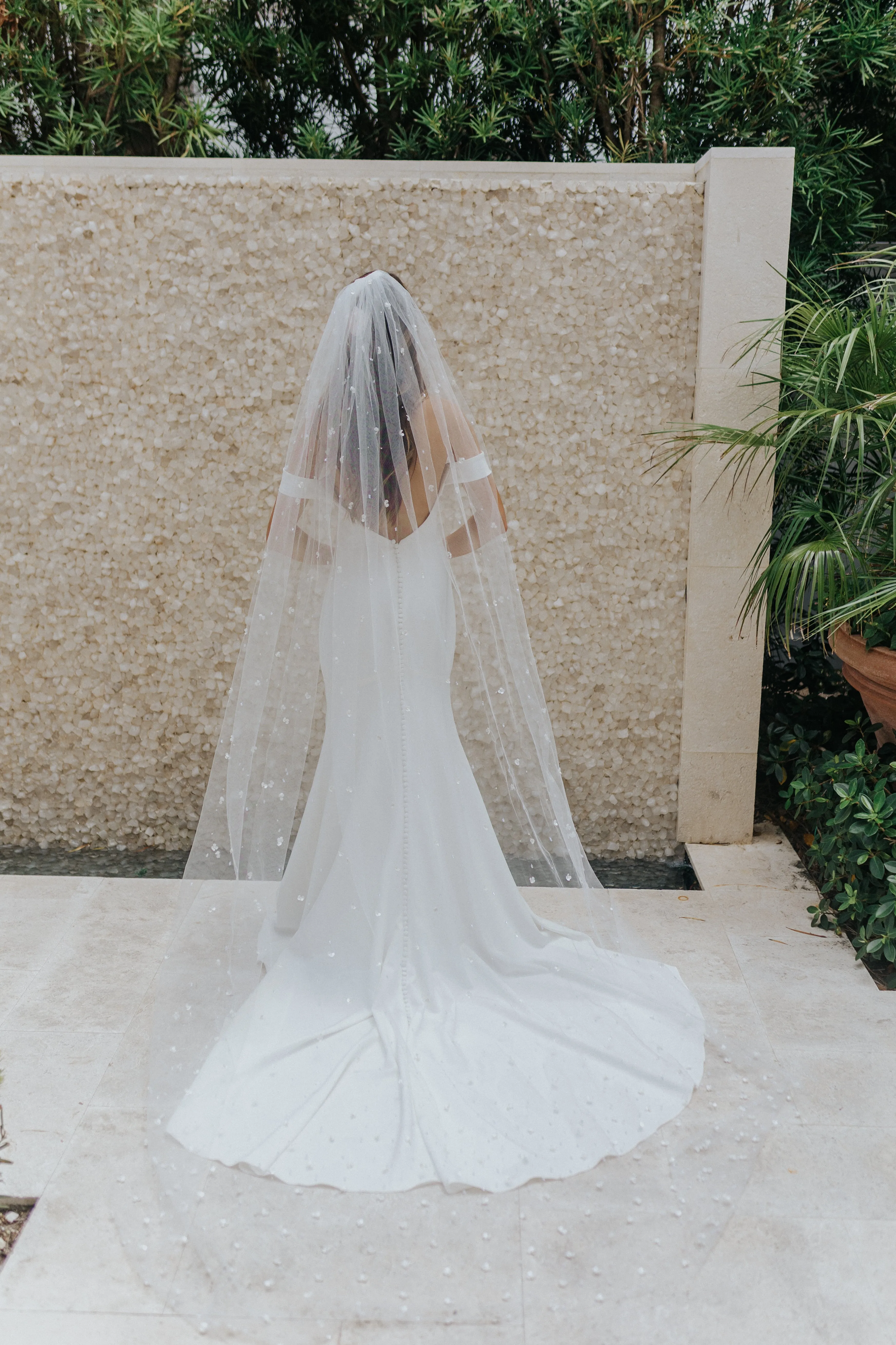 Sophia Veil