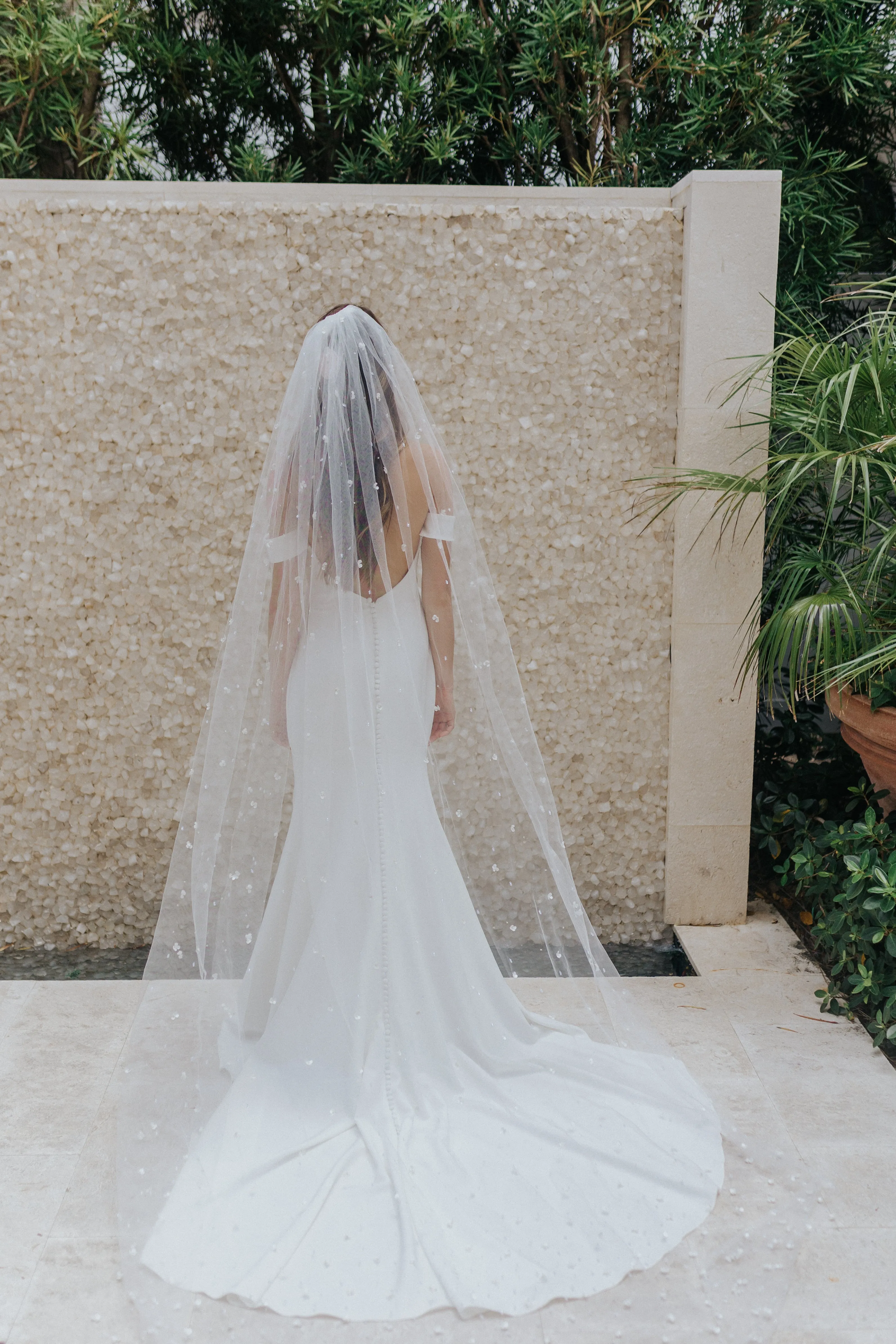 Sophia Veil